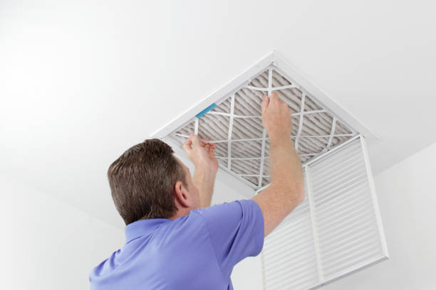 Air Duct Mold Removal in NJ